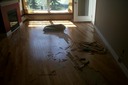 Dented & Scratched Boards Replacement