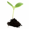 ecostar-main-sm_001