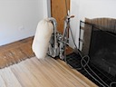 Oak stained provincial #2