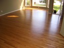 Oak Golden Oak 1