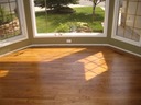 Oak Golden Oak 2